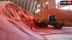 अमेरिका, चीन या जापान नहीं... इस देश के हाथ लगा बड़ा जैकपॉट, कीमत कर देगी हैरान