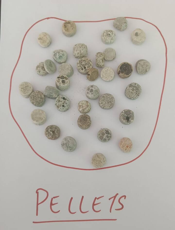 From the debris of Pakistani drones shot down by the Indian Air Defence System, security forces have recovered pellets that were part of the drones' payload. (Image Courtesy:ANI)