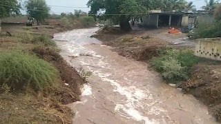 Amreli Rain:  ધારી પંથકમાં ધોધમાર વરસાદ, નદીઓ વહેતી હોય તેવા દ્રશ્યો જોવા મળ્યા
