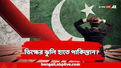 Pakistan's Loan Appeal: ভারতের প্রত্যাঘাতে ভিখারির হাল পাকিস্তানের? এবার 'ধার' চেয়ে পোস্ট অর্থ মন্ত্রকের, পরে 'হ্যাকিং'-র অভিযোগ