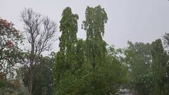 ભાવનગરમાં એક દિવસના વિરામ બાદ ફરી વરસાદ તૂટી પડ્યો: અંધારપટ વાતાવરણ અને પવન સાથે હળવા વરસાદથી જનજીવન પ્રભાવિત, વિઝિબિલિટી ઘટી