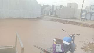Botad Rain: હવામાન વિભાગની આગાહી વચ્ચે બોટાદમાં તૂટી પડ્યો વરસાદ 