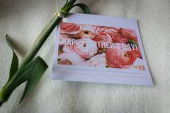 Mothers Day : कधी आहे यंदाचा मदर्स डे? 'मदर्स डे' च्या दिवशी आईचा दिवस करा Special!