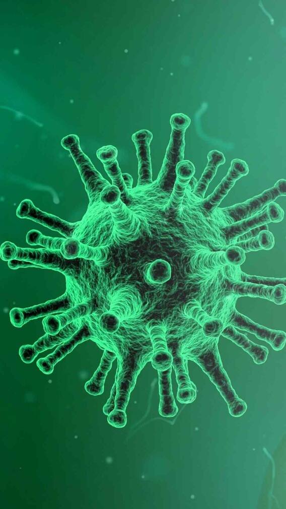 ऐसा वायरस, जिससे डर गए मुख्यमंत्री! टाल दिया कार्यक्रम