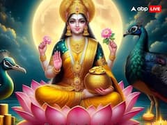 Laxmi Ji Upay: कर्ज से मुक्ति पाने के लिए लक्ष्मी जी के चमत्कारी मंत्र