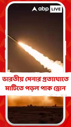 পাকিস্তানের ড্রোন হামলার চেষ্টা,ভারতীয় সেনার প্রত্যাঘাতে মাটিতে পড়ল পাক ড্রোন