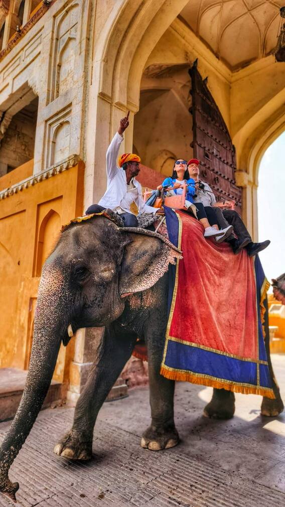 आमेर से पुष्कर तक जानिए राजस्थान में हाथी की सवारी के बेस्ट और एथिकल स्पॉट्स