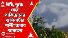 India Pakistan News: উরি, পুঞ্চে ফের পাকিস্তানের গুলি-মর্টার, পাল্টা জবাব ভারতের
