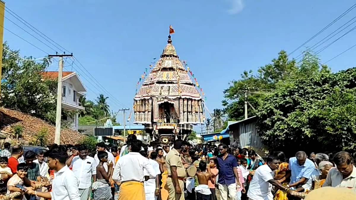 திருக்கடையூர் அமிர்தகடேஸ்வரர் கோயில் எட்டாம் நாள் உற்சவம் - என்ன தெரியுமா..?