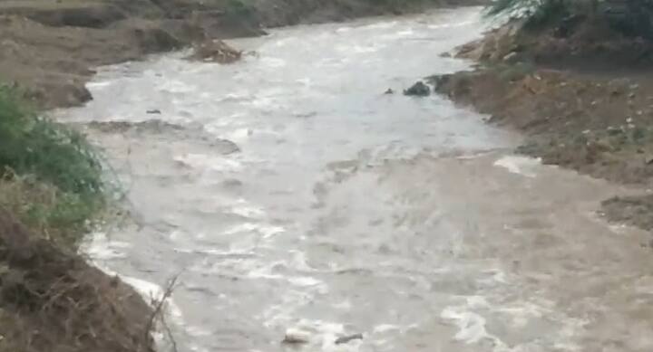 અમરેલી: હવામાન વિભાગે રાજ્યના અનેક જિલ્લાઓમાં ભારે વરસાદની આગાહી કરી છે. હવામાન વિભાગની આગાહી વચ્ચે અમરેલી જિલ્લાના વાતાવરણમાં પલટો આવ્યો છે. ધારી અને ગીર પંથકમાં વરસાદી માહોલ જોવા મળી રહ્યો છે.