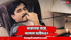 ভারতের ভয়ে থরহরিকম্প ! ঠেলায় পড়ে পাকিস্তানের 'সেফ শেল্টার' ছেড়ে পালাল দাউদ!