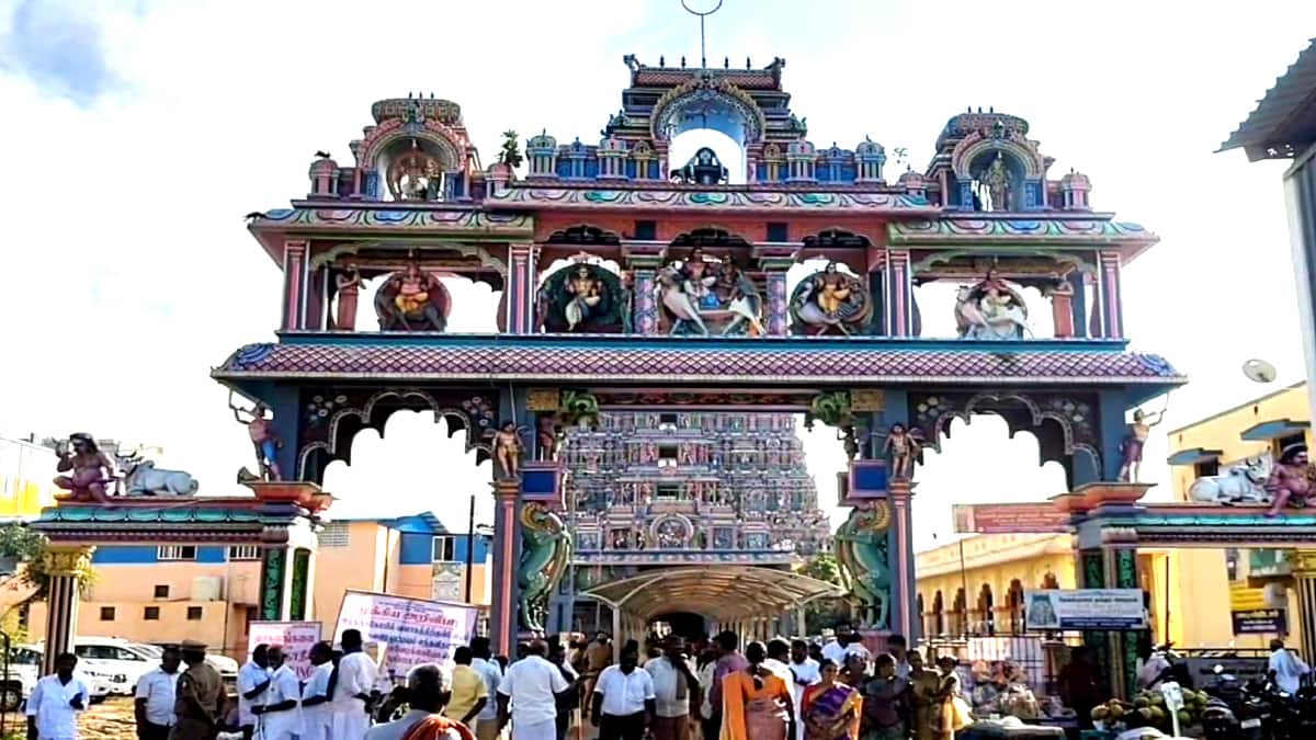 திருக்கடையூர் அமிர்தகடேஸ்வரர் கோயில் எட்டாம் நாள் உற்சவம் - என்ன தெரியுமா..?