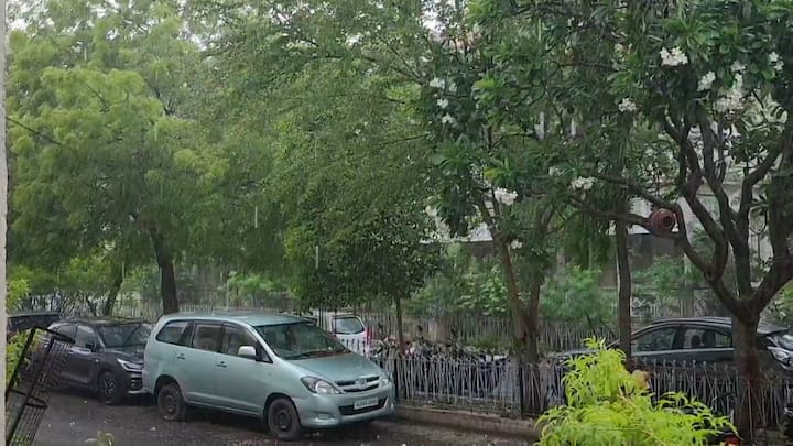 આ કમોસમી વરસાદના કારણે ભાવનગર જિલ્લાના ખેડૂતોને ભારે નુકસાન પહોંચ્યું છે. ખાસ કરીને દરિયાઈ કોસ્ટલ વિસ્તારના તાલુકાઓ જેમકે મહુવા અને તળાજા તેમજ ભાવનગરના ગ્રામ્ય વિસ્તારોમાં બાગાયતી પાક અને ઉનાળુ પાકને વધારે નુકસાન પહોંચ્યું હોવાના અહેવાલો છે.