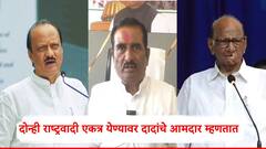 राष्ट्रवादीचे दोन्ही गट एकत्र येण्याच्या चर्चा, अजित पवारांच्या राष्ट्रवादीचे आमदार म्हणतात, माझी पण तशीच इच्छा...