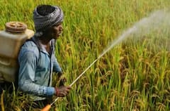 ਇਨ੍ਹਾਂ ਲੋਕਾਂ ਨੂੰ ਲੱਗੇਗਾ ਵੱਡਾ ਝਟਕਾ, ਸਰਕਾਰ ਨਹੀਂ ਦੇਵੇਗੀ ਕਿਸਾਨ ਯੋਜਨਾ ਦੀ ਅਗਲੀ ਕਿਸ਼ਤ