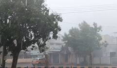 Bhavnagar Rain: ભાવનગર શહેરમાં ભારે પવન સાથે વરસાદ શરુ