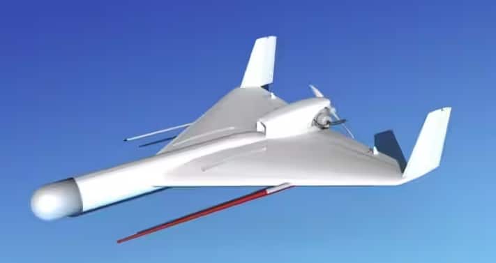 ઇઝરાયલનું હાર્પી ડ્રોન આનું એક ઉત્તમ ઉદાહરણ છે, જેણે પાકિસ્તાનની એર ડિફેન્સ સિસ્ટમને તોડી પાડી છે. આ ડ્રોન 23 કિલો વિસ્ફોટકો લઈને ઉડે છે