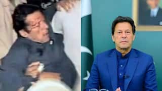 Imran Khan Death: पाकिस्तान को वर्ल्ड कप जिताने वाले पूर्व कप्तान इमरान खान की मौत? जानें वायरल दावे की सच्चाई