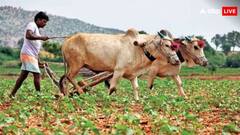 इन लोगों को लगा बड़ा झटका, सरकार नहीं देगी किसान योजना की अगली किस्त