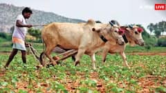 ਇਨ੍ਹਾਂ ਲੋਕਾਂ ਨੂੰ ਲੱਗੇਗਾ ਵੱਡਾ ਝਟਕਾ, ਸਰਕਾਰ ਨਹੀਂ ਦੇਵੇਗੀ ਕਿਸਾਨ ਯੋਜਨਾ ਦੀ ਅਗਲੀ ਕਿਸ਼ਤ