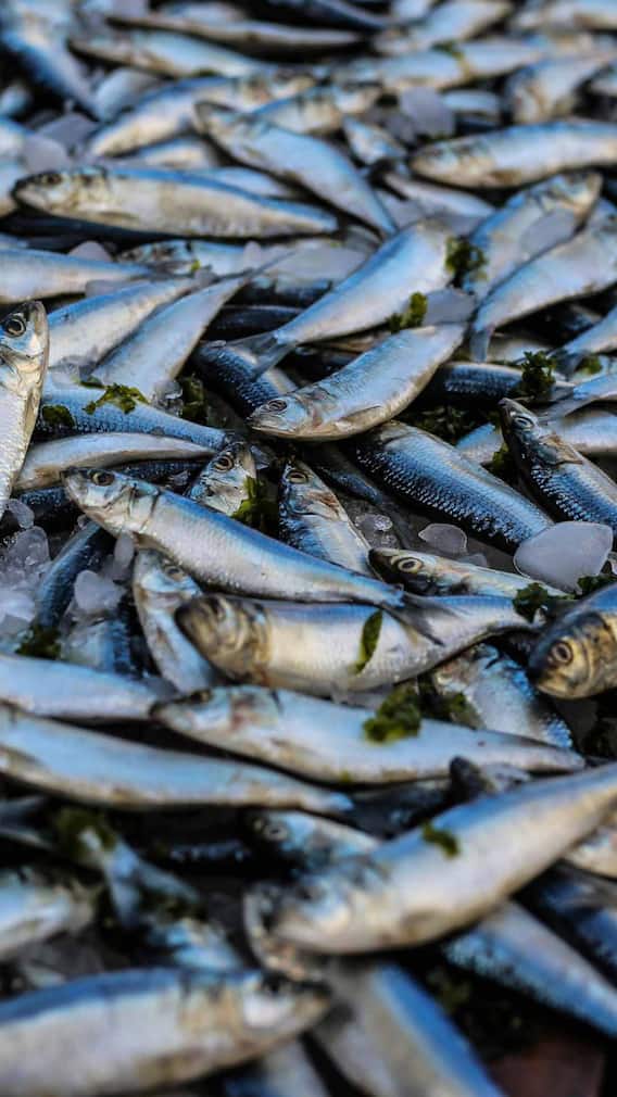 खाने में सबसे टेस्टी होती है ये वाली मछली