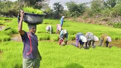 इन लोगों को लगा बड़ा झटका, सरकार नहीं देगी किसान योजना की अगली किस्त