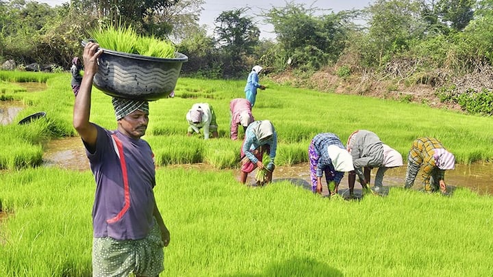 The government runs the Pradhan Mantri Kisan Samman Nidhi Yojana for them. Under this scheme, farmers are given 6 thousand rupees every year. Which are given in three installments of 2000 thousand rupees throughout the year. So far 19 installments have been released in the scheme.