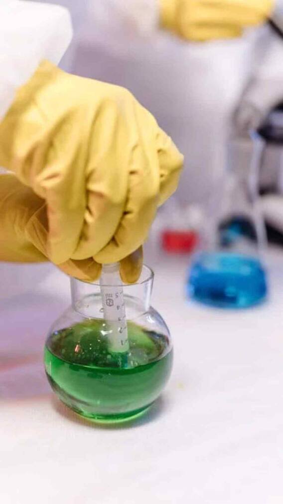 ये है साइनाइड से सैकड़ों गुना ज्यादा जहर वाला जीव