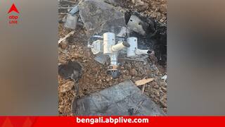 India Pakistan Tension : গুজরাতে বায়ুসেনার বিরাট কামাল!  আকাশেই উড়িয়ে দেওয়া হল পরপর ৬ পাক ড্রোন