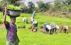 ਇਨ੍ਹਾਂ ਲੋਕਾਂ ਨੂੰ ਲੱਗੇਗਾ ਵੱਡਾ ਝਟਕਾ, ਸਰਕਾਰ ਨਹੀਂ ਦੇਵੇਗੀ ਕਿਸਾਨ ਯੋਜਨਾ ਦੀ ਅਗਲੀ ਕਿਸ਼ਤ