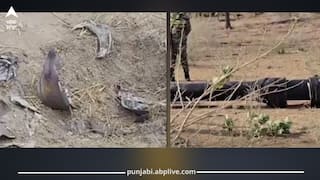 Punjab News: ਪਠਾਨਕੋਟ 'ਚ 30 ਮਿੰਟ ਤੋਂ ਲਗਾਤਾਰ ਧਮਾਕੇ, ਬਠਿੰਡਾ ਸਮੇਤ 3 ਜ਼ਿਲ੍ਹਿਆਂ 'ਚ ਰੈਡ ਅਲਰਟ; ਕਪੂਰਥਲਾ-ਫਿਰੋਜ਼ਪੁਰ 'ਚ ਬਾਜ਼ਾਰ ਬੰਦ