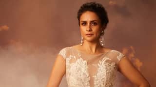 Gul Panag Slams Pakistani Journalist Over IMF Loan: 'Congrats On Another Loan'