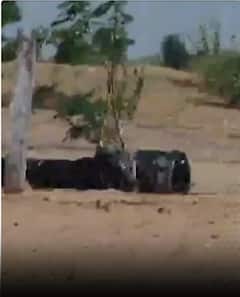 खेत में गिरा जिंदा पाकिस्तानी मिसाइल | ABP NEWS SHORTS