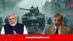 India-Pakistan Ceasefire: মধ্যস্থতা করল আমেরিকা, ফোন এল পাকিস্তান থেকে, যুদ্ধবিরতিতে রাজি হল ভারত