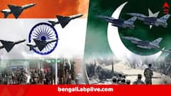 Indi-Pakistan Ceasefire: যুদ্ধবিরতিতে রাজি ভারত ও পাকিস্তান, জানালেন ডোনাল্ড ট্রাম্প