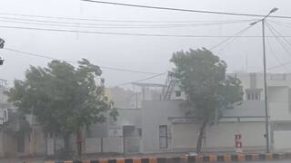 Rain Update: કમોસમી વરસાદની આગાહી વચ્ચે રાજ્યના 26 તાલુકામાં વરસાદ, કેરીના પાકને 50% નુકસાન