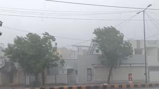 Rain Update: કમોસમી વરસાદની આગાહી વચ્ચે રાજ્યના 26 તાલુકામાં વરસાદ, કેરીના પાકને 50% નુકસાન