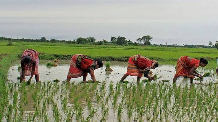 Now crores of farmers of the country are waiting for the 20th installment. Which can be released soon. But let us tell you that many farmers of the country will not get the benefit of this installment of the government. Somewhere you do not have a name either. Know these included in these.