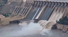 भारताचा 'वॉटर स्ट्राइक'; चिनाब नदीवरील सलाल, बागलिहार धरणाचे दरवाजे उघडले; पाण्याचा प्रचंड लोंढा पाकिस्तानच्या दिशेने