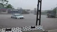 Porbandar Rain:  પોરબંદર જિલ્લામાં ભારે પવન સાથે કમોસમી વરસાદ તૂટી પડ્યો