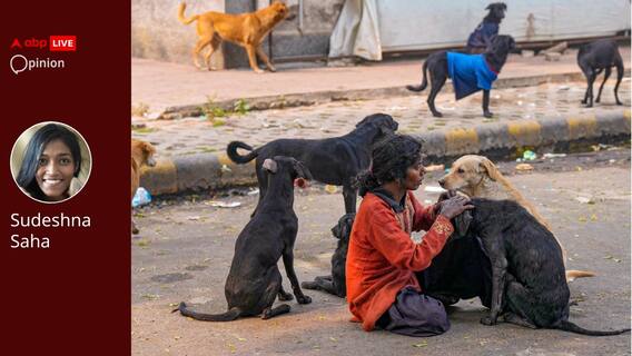 Opinion: A Gentle Plea — Let's Extend Our Hearts And Homes To Animals In Times Of Conflict