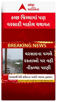Kutch Unseasonal Rains : કચ્છ જિલ્લામાં માવઠાથી કેરી સહિતના પાકોને વ્યાપક નુકસાન