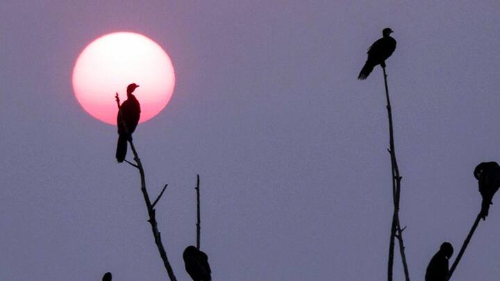 বুধবার কোচবিহার, আলিপুরদুয়ার, জলপাইগুড়ি, মালদা জেলায় ৪০ থেকে ৫০ কিলোমিটার বেগে ঝোড়ো হাওয়া সহ বৃষ্টি হতে পারে।