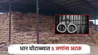 गडचिरोलीत 10,000 क्विंटल धान घोटाळा; अखेर गुन्हा दाखल, अध्यक्ष, उपाध्यक्षांसह 5 जणांना अटक