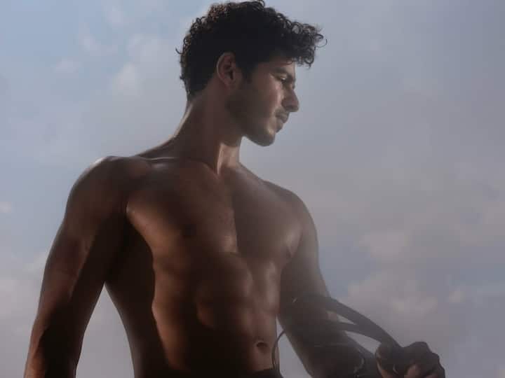 The photos, shared on his Instagram, are bathed in golden sunlight, perfectly highlighting his ripped physique—chiselled abs, sculpted chest, and lean muscle tone.