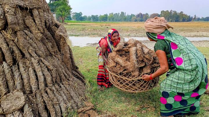 রবিবার দক্ষিণবঙ্গজুড়েই প্রবল গরম আর্দ্রতাজনিত অস্বস্তিকর পরিস্থিতি। পশ্চিম বর্ধমান, বাঁকুড়া, পুরুলিয়া, ঝাড়গ্রাম, পশ্চিম মেদিনীপুরে তাপপ্রবাহ চলবে। ৪০ ছুঁইছুঁই তাপমাত্রার পারদ। অন্যদিকে বীরভূম, মুর্শিদাবাদ, পূর্ব ও পশ্চিম বর্ধমান, নদিয়া, পুরুলিয়ায় ঝড়-বৃষ্টির সতর্কতা রয়েছে। ৩০ থেকে ৪০ কিলোমিটার বেগে বইতে পারে ঝোড়ো হাওয়া।
