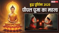 Buddha Jayanti 2025: बुद्ध जयंती पर क्यों बढ़ जाता है पीपल वृक्ष की पूजा का महत्व