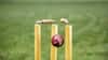 Cricketer Death: ઓસ્ટ્રેલિયાના દિગ્ગજ ક્રિકેટરનું નિધન, ટેસ્ટમાં ફટકારી હતી ઐતિહાસિક ત્રેવડી સદી