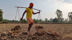 Weather Update: তাপপ্রবাহের সতর্কতা, জেলায় জেলায় দুর্যোগের আশঙ্কা; কোথায় কেমন আবহাওয়া?