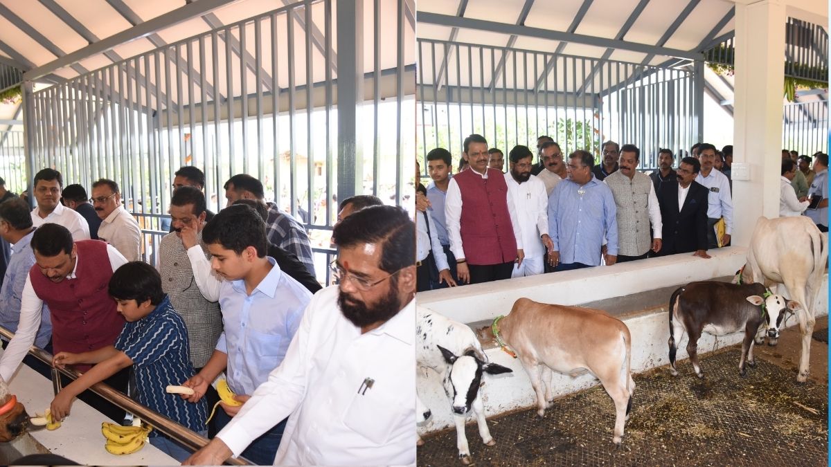 Maharashtra: नारायण राणे का नया ‘मिशन’, 70 एकड़ में ‘गोवर्धन गौशाला’ का उद्घाटन, जानें क्या है खास